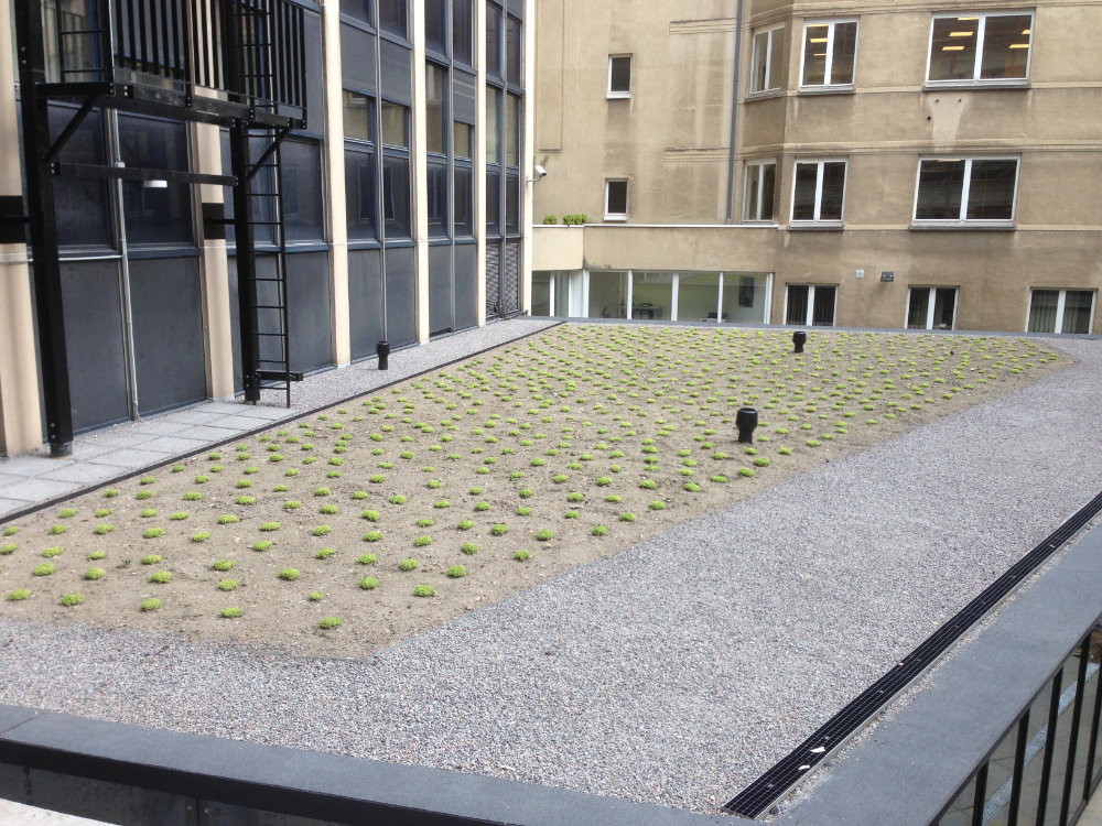 Katusetööd bituumenrullmaterjaliga ja vedelplast katuse läbiviigud Brüsselis